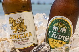 Kus Čech v Thajsku: Vyhlášené pivo Singha se vaří z českého a německého chmele
