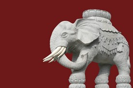 Thajští královští bílí sloni. Jak to s nimi bylo doopravdy?
